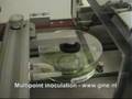 videos de GME Multipoint Inoculation