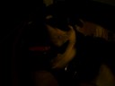dexy asleep and snoring