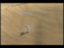 Halo 3 Long Range Stick Halo 3 Long Range Stick
