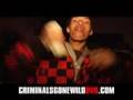 Criminals Gone Wild in Chicago