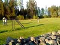 Lydnadst�vling i Ljungby - S�ndade med st�llande
