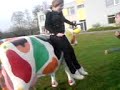 muhh kuhh wird bestigen