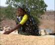 videos de Food Crisis