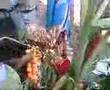 Uttaranchali Shaadi - One Day Baarat