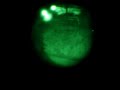YUKON EXELON 3X50  IR turned on