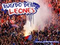 somos los de abajo la hinchda mas brava