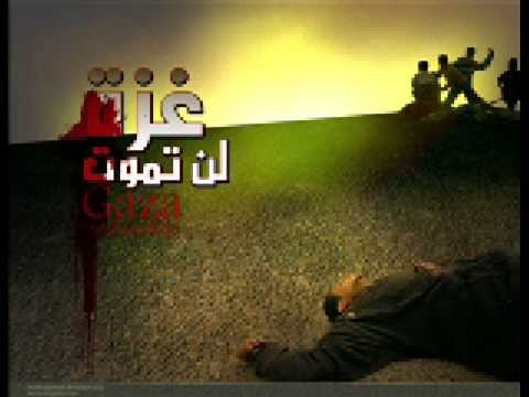 محمد قويدر - صبراً غزة