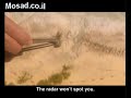 israeli-intelligence-2-.html