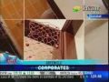 Saviour Builders