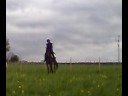 Dressage training 080430-3