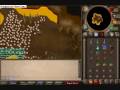 videos de Phoenix Egg - Cute Baby