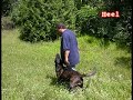 Family K9 Dog Training (www.familyk9.org)