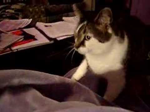 Eloise kneading