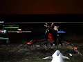 WoW Night elf on a taxi mount *Rare*