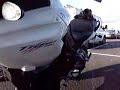 2007 Triumph Tiger 1050 by Raptorsandrockets 2007 Triumph Tiger 1050 by Raptorsandrockets