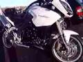 2007 Triumph Tiger 1050 by Raptorsandrockets