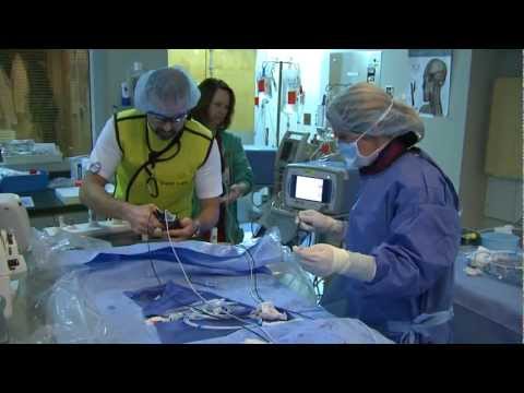 how to treat pulmonary embolism