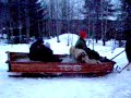 Slædetur på Jamtli Slædetur på Jamtli
