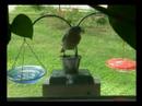 Love those mealworms!
