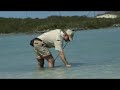 Bonefishing on Providenciales