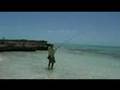 Vis video