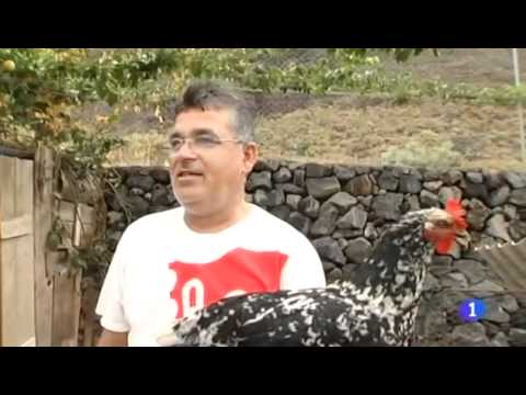 Repor   El Hierro, esperando el volcán Temporada 2011 2012   RTVE es