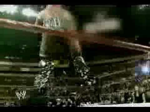 Triple H Pedigree Tribute