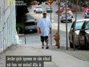 Mara Salvatrucha - World\
