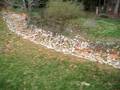 videos de 3/17/2007 Day after the dams broke Cypress Site, Raleigh, NC