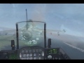 Homenaje a Misha ,Escuadron69 Ala Falcon