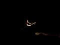 Diamanda Gal�s - 25 Minutes To Go
