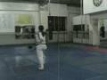 Taekwondo Poomsae