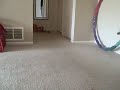 Bijou learns to fetch!