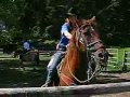 Wild West Adventure (part 2) Wild West Adventure (part 2)