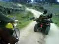 los palomeros autenticos