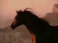 demis roussos-goobye my love ??????? ???????