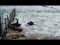 Venezia protetta dai \"murazzi\"