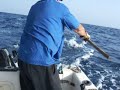 pescant atuns pescant atuns