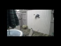 5001 Woodland View - Sea Colony - Bethany Beach - ResortQues