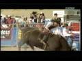 videos de Ariat Playoffs Intro