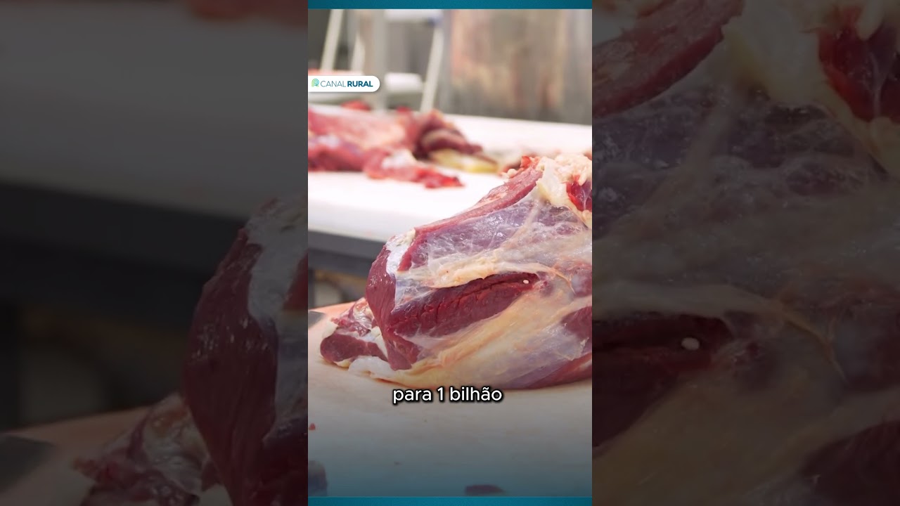 Preços do algodão em pluma atingem o maior valor em quase 9 meses