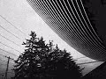 Alice in Chains -Nutshell (Home made music video)