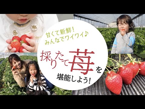 農園紹介動画広告事例30秒
