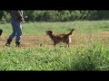 June and Heather WC land retrieve BYC 2007
