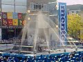 Mentos Geyser doesn\