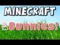 Minecraft - Bunnies!
