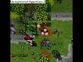2 pk noob in amera omg