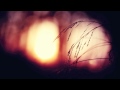 Bulb - Tenderness
