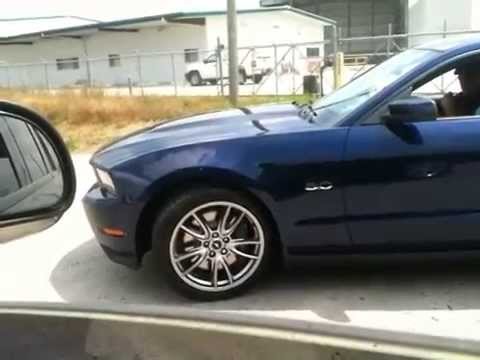mustang