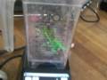 videos de will it blend with blendtec